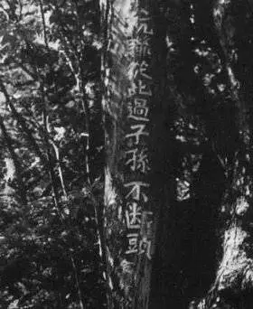 漫展有人穿维和部队军装下跪?媒体:丢人 涉嫌违法