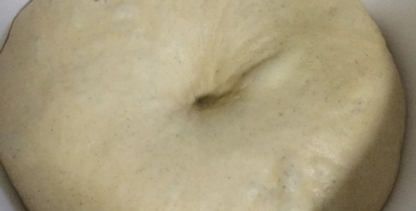 686.jpg 686.jpg