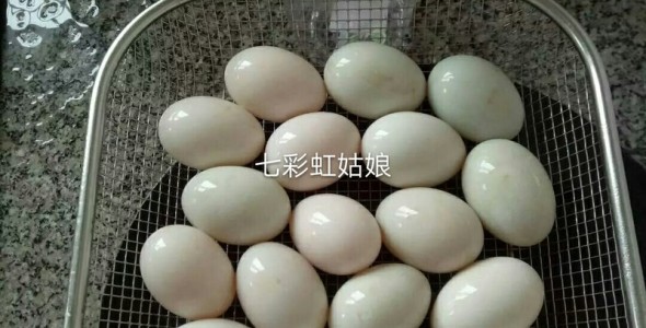528.jpg